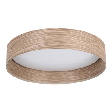 Eglo - LED Stropna svjetiljka LED/24W/230V