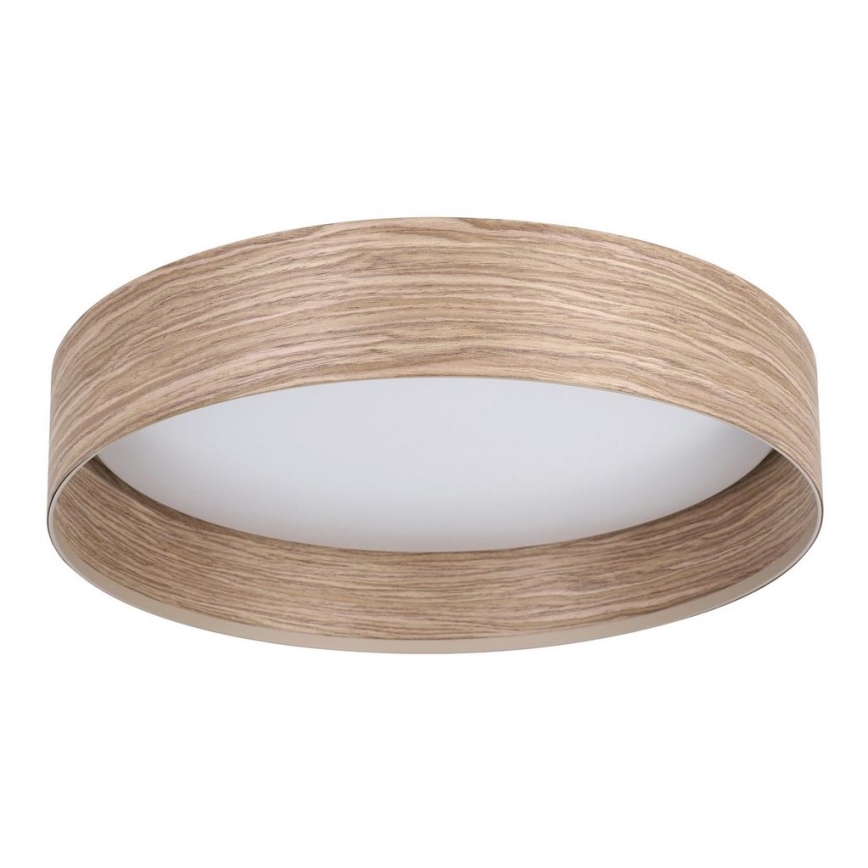 Eglo - LED Stropna svjetiljka LED/24W/230V