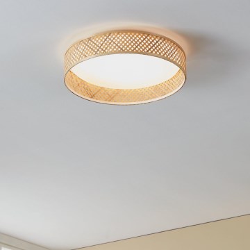 Eglo - LED Stropna svjetiljka LED/24W/230V