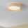 Eglo - LED Stropna svjetiljka LED/24W/230V