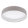 Eglo - LED Stropna svjetiljka LED/24W/230V