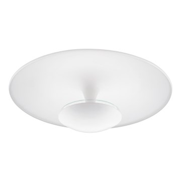 Eglo - LED stropna svjetiljka LED/24W/230V