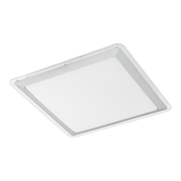 Eglo - LED stropna svjetiljka LED/24W/230V