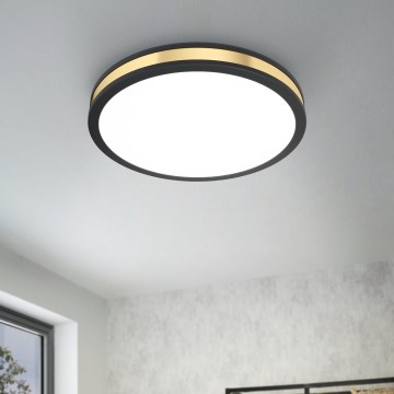 Eglo - LED Stropna svjetiljka LED/24W/230V