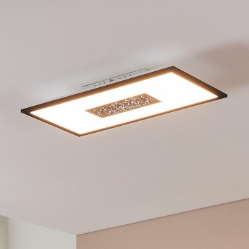 Eglo - LED Stropna svjetiljka LED/26W/230V