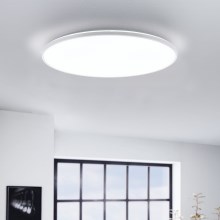 Eglo - LED Stropna svjetiljka LED/29W/230V pr. 50 cm