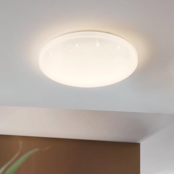 Eglo - LED Stropna svjetiljka LED/49,5W/230V