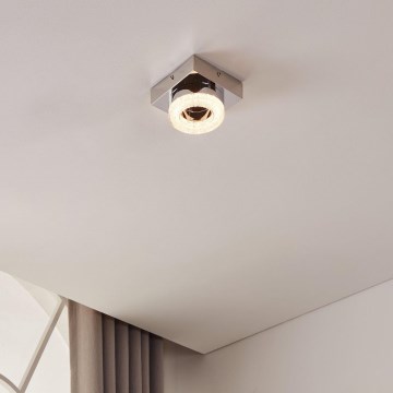 Eglo - LED Stropna svjetiljka LED/4W/230V