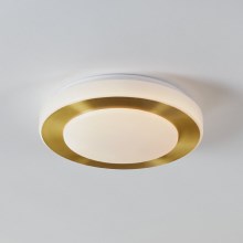 Eglo - LED Stropna svjetiljka za kupaonicu LED/10,8W/230V IP44