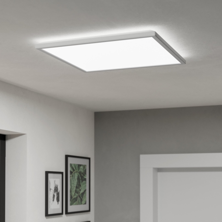 Eglo - LED Stropna svjetiljka za kupaonicu LED/17W/230V 2700/4000/6500K 50x50 cm IP44 bijela