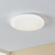 Eglo - LED Stropna svjetiljka za kupaonicu LED/18W/230V IP44
