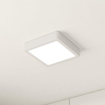 Eglo - LED stropno svjetlo LED/10,5W/230V 16x16 cm