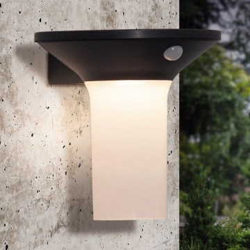 Eglo - LED vanjska solarna svjetiljka s senzorom 6xLED/0,03W/3,7V IP44