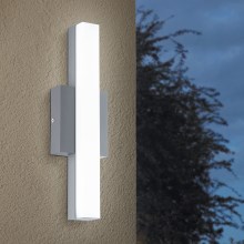 Eglo - LED Vanjska svjetiljka 1xLED/8W/230V IP44