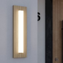 Eglo - LED Vanjska zidna svjetiljka LED/7W/230V IP44