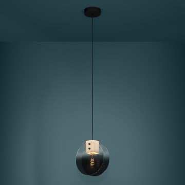 Eglo - Luster na sajli 1xE27/40W/230V dimna