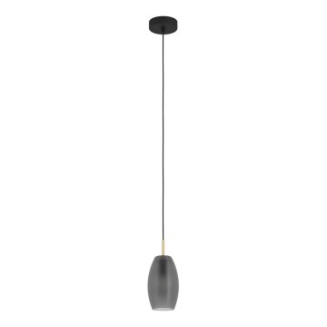 Eglo - Luster na sajli 1xE27/40W/230V