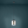 Eglo - Luster na sajli 1xE27/40W/230V pr. 25 cm dimna