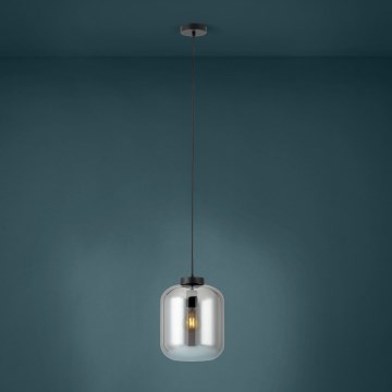 Eglo - Luster na sajli 1xE27/40W/230V pr. 25 cm dimna