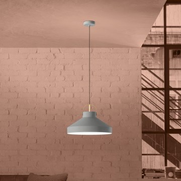 Eglo - Luster na sajli 1xE27/40W/230V siva