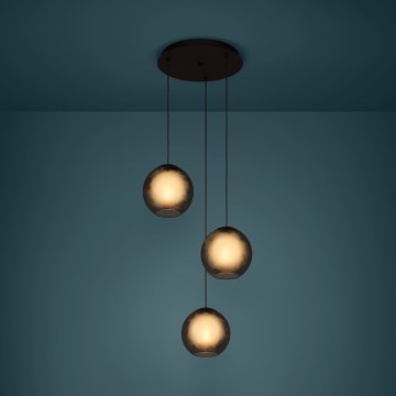 Eglo - Luster na sajli 3xE27/40W/230V dimna