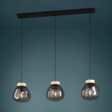 Eglo - Luster na sajli 3xE27/40W/230V dimna