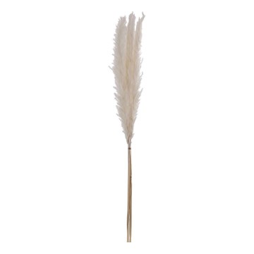 Eglo - Osušeni cvijet 70 cm bijela