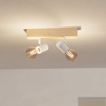 Eglo - Reflektorska svjetiljka TOWNSHEND 2xE27/60W/230V - FSC certificirano