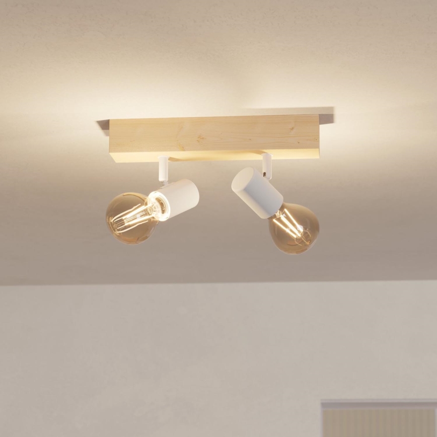 Eglo - Reflektorska svjetiljka TOWNSHEND 2xE27/60W/230V