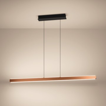 Eglo Stars of Light - LED luster s prigušivanjem na sajli LED/30W/230V 2200-6500K zlatna + daljinski upravljač