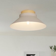 Eglo - Stropna svjetiljka 1xE27/40W/230V