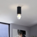 Eglo - Stropna svjetiljka 1xE27/40W/230V