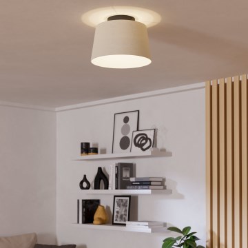 Eglo - Stropna svjetiljka 1xE27/60W/230V bijela
