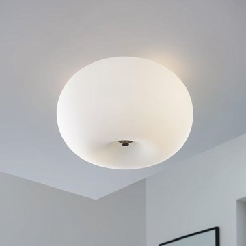 EGLO - Stropna svjetiljka OPTICA 2xE27/60W pr. 28 cm