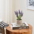 Eglo - Umjetna biljka u saksiji 22x8 cm lavanda