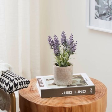 Eglo - Umjetna biljka u tegli za cvijeće 22x8 cm lavanda