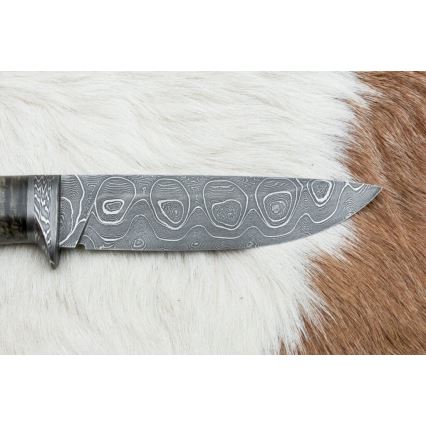 Ekskluzivni damask nož 12,7 cm javor/ahat