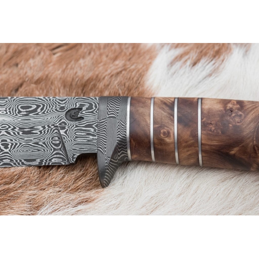 Ekskluzivni damask nož 14,4 cm kesten/mamutov zub