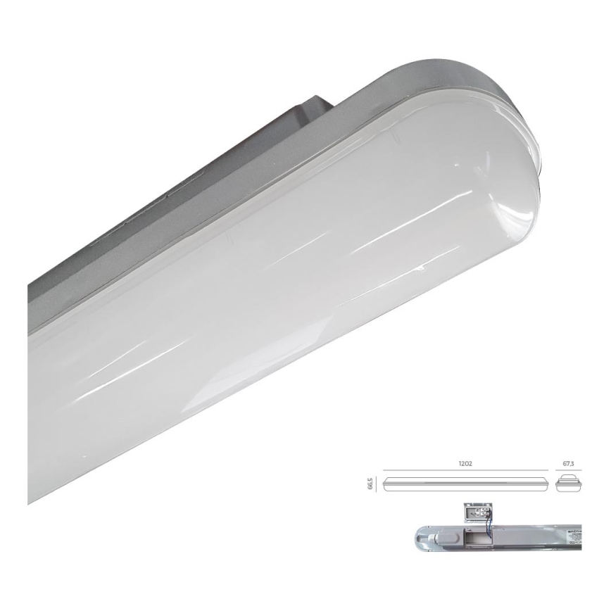 Emithor 31602 - LED Radna svjetiljka ELMINA LED/36W/230V IP65