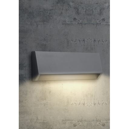 EMITHOR 48330 - LED Vanjska zidna svjetiljka RADIX LED/2,9W/230V IP65