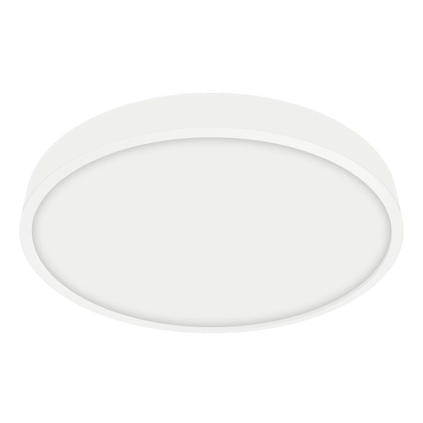 Emithor 49035 - LED Stropna svjetiljka za kupaonicu LENYS LED/12W/230V IP44