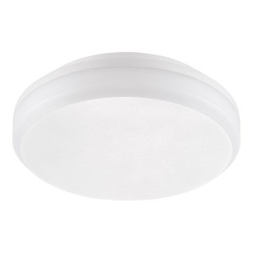 Emithor 63207 - LED tehničko stropno svjetilo SURFACE LED/30W/230V IP65