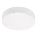 Emithor 63212 - LED stropna svjetiljka SURFACE LED/15W/230V