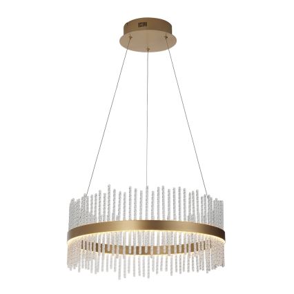 Endon 107671 - LED prigušivački luster na užetu ADRIEL LED/41W/230V 3000K promjer 51 cm zlatna/prozirna