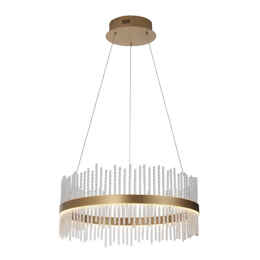 Endon 107671 - LED prigušivački luster na užetu ADRIEL LED/41W/230V 3000K promjer 51 cm zlatna/prozirna