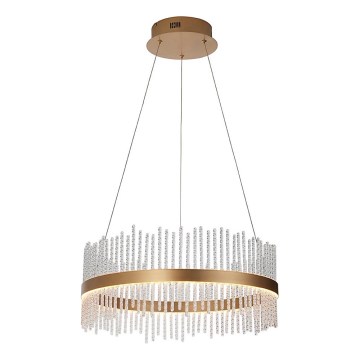 Endon 107671 - LED prigušivački luster na užetu ADRIEL LED/41W/230V 3000K promjer 51 cm zlatna/prozirna