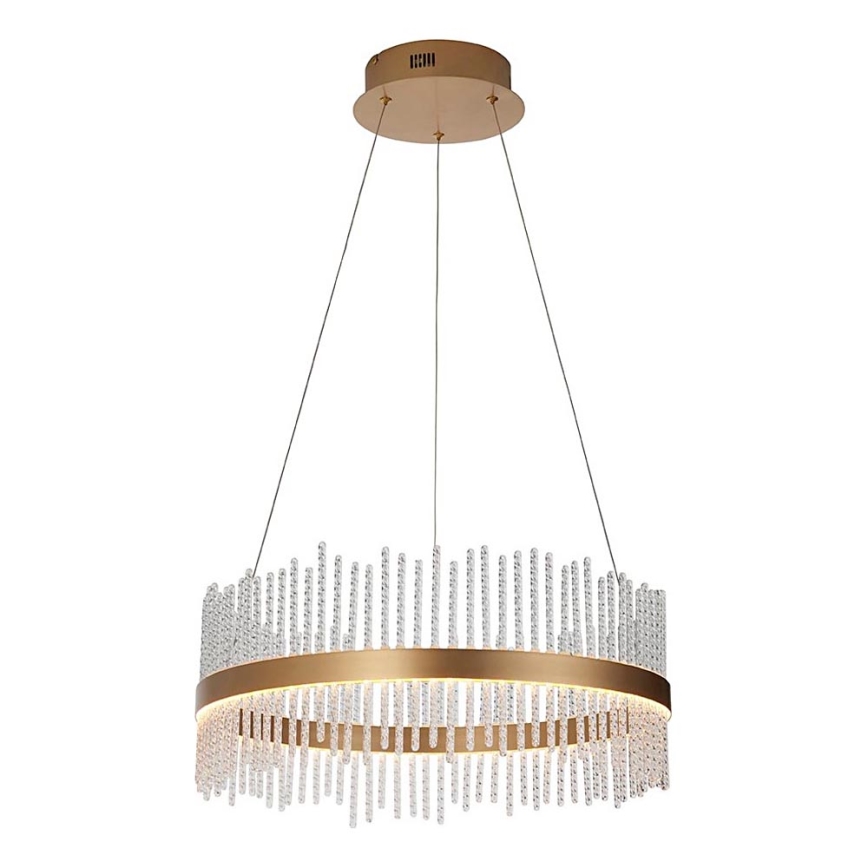 Endon 107671 - LED prigušivački luster na užetu ADRIEL LED/41W/230V 3000K promjer 51 cm zlatna/prozirna