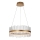 Endon 107671 - LED prigušivački luster na užetu ADRIEL LED/41W/230V 3000K promjer 51 cm zlatna/prozirna