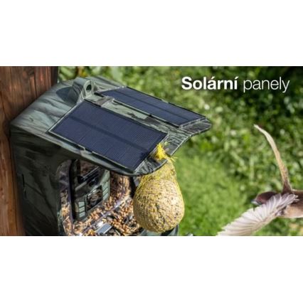 Evolveo - StrongVision BirdFeeder - pametna hranilica za ptice s kamerom i solarnim panelom