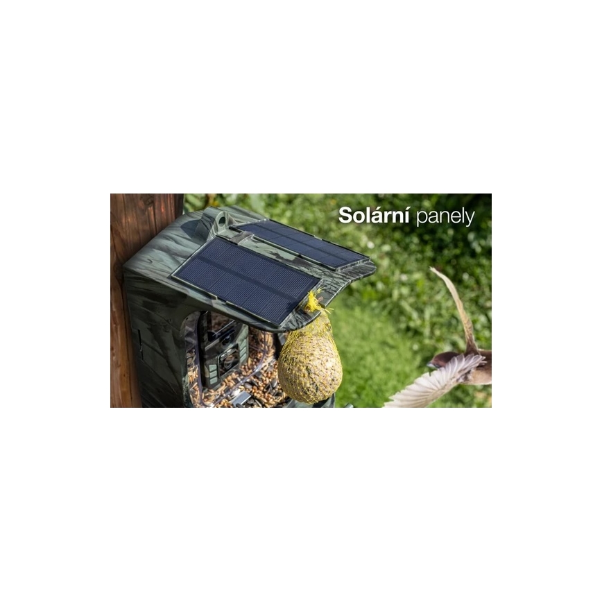 Evolveo - StrongVision BirdFeeder - pametna hranilica za ptice s kamerom i solarnim panelom